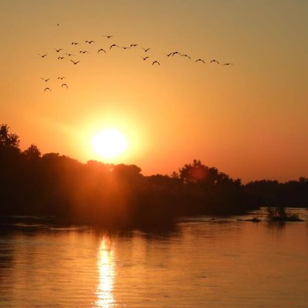Bongan Safari Lodge Mbabat Zewnętrze zdjęcie