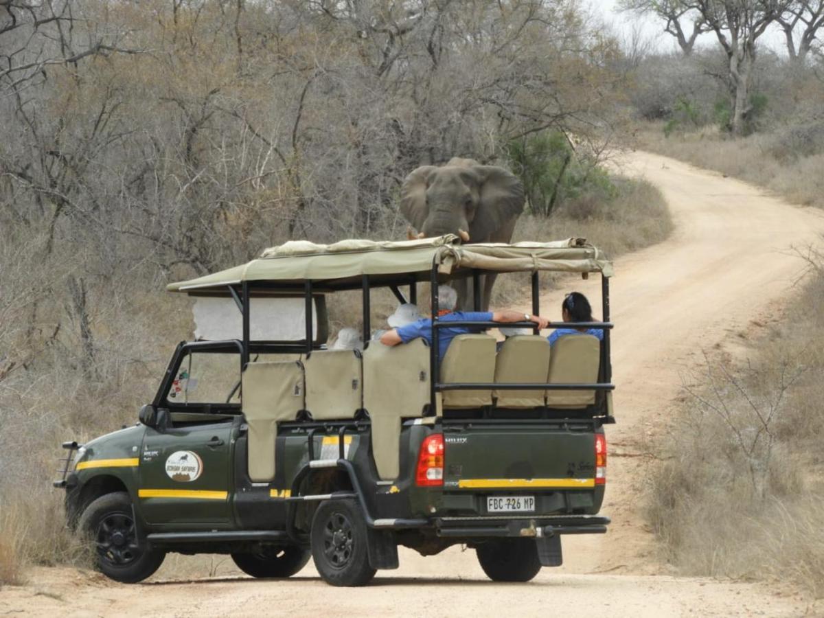 Bongan Safari Lodge Mbabat Zewnętrze zdjęcie
