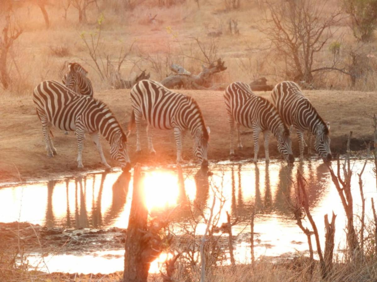 Bongan Safari Lodge Mbabat Zewnętrze zdjęcie